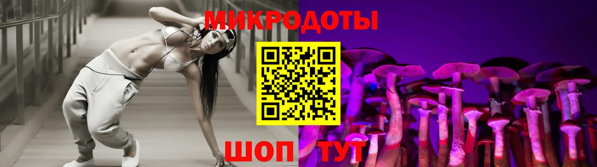 Галлюциногенные грибы ЛСД Камень-на-Оби